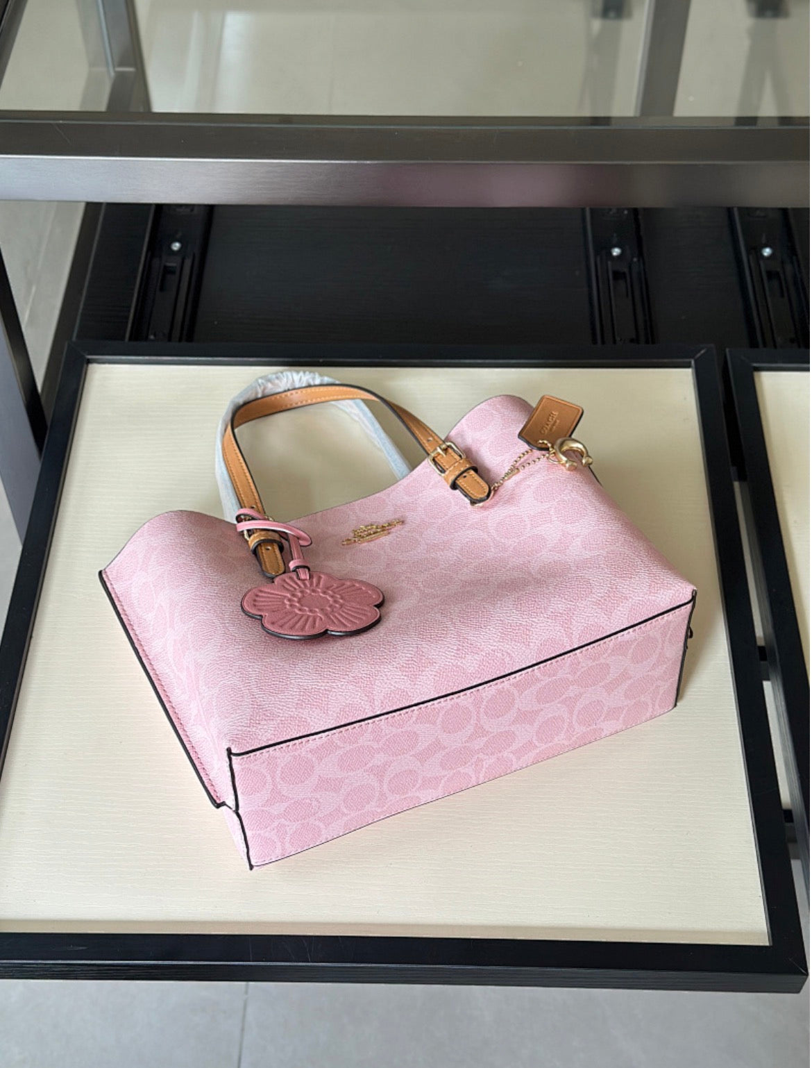 Coach mollie tote bag