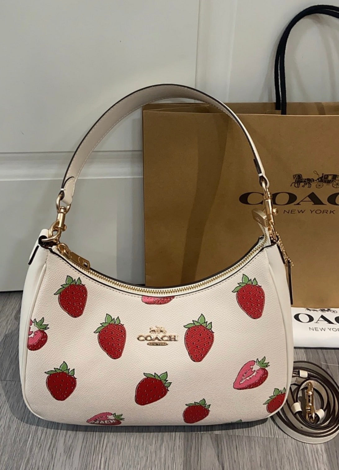 Coach Teri Hobo Bag