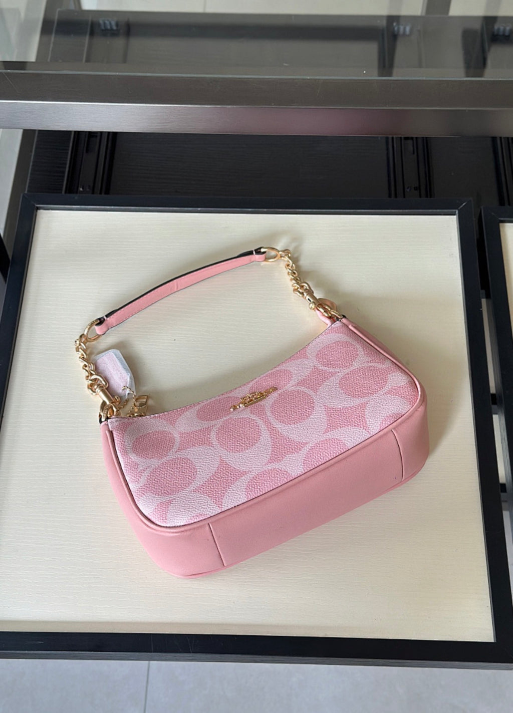 Coach Teri Shoulder Bag
