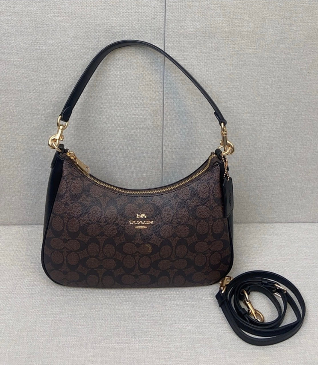 Coach Teri Hobo Bag