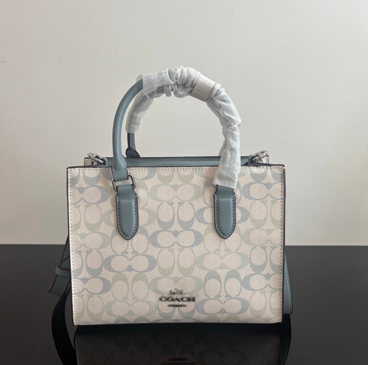 Coach Maggie Small Tote Bag
