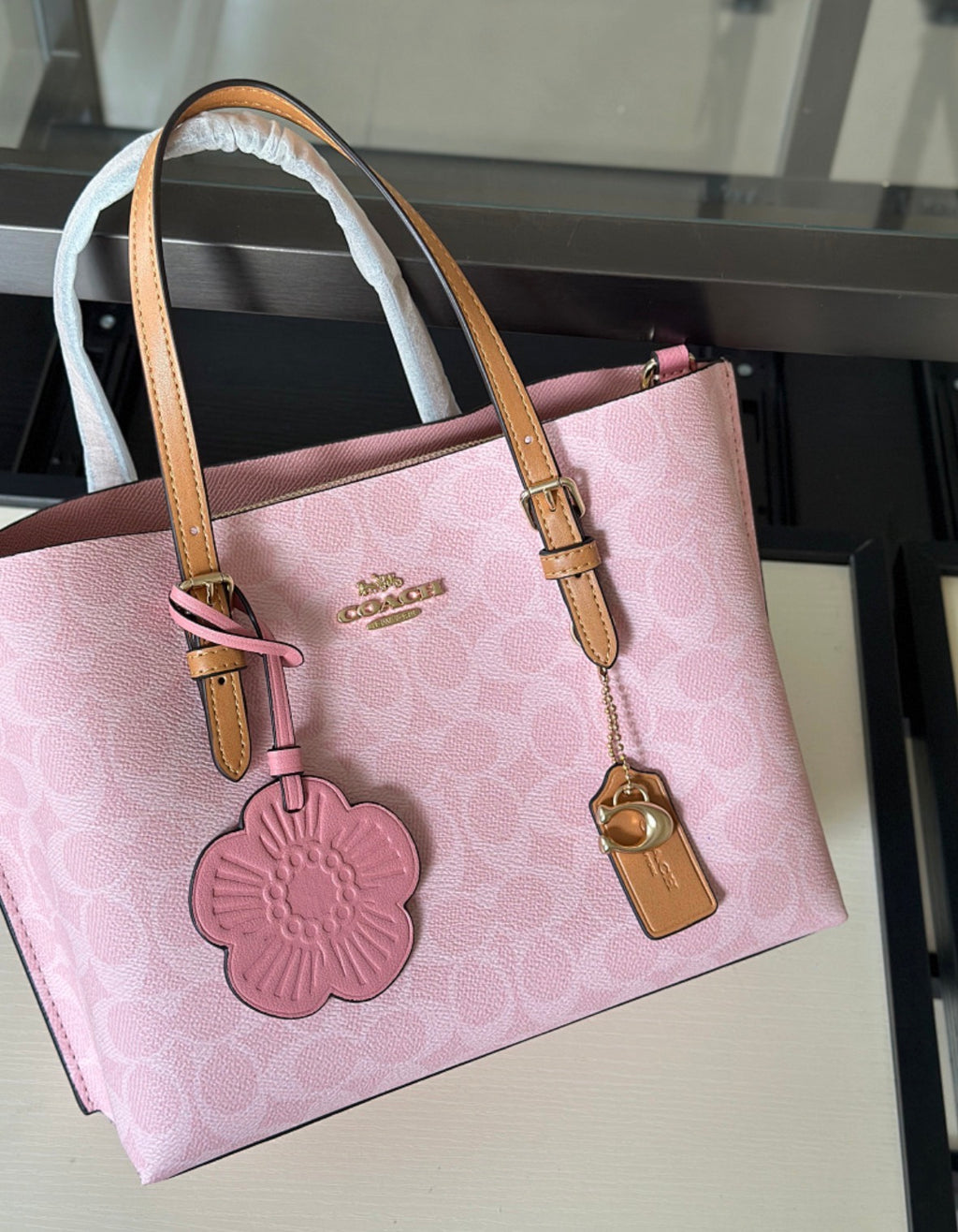 Coach mollie tote bag