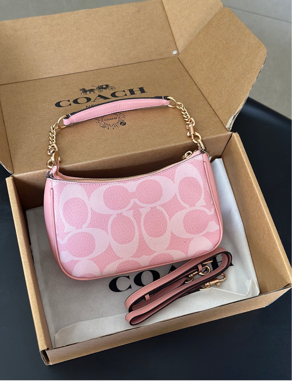 Coach Teri Shoulder Bag