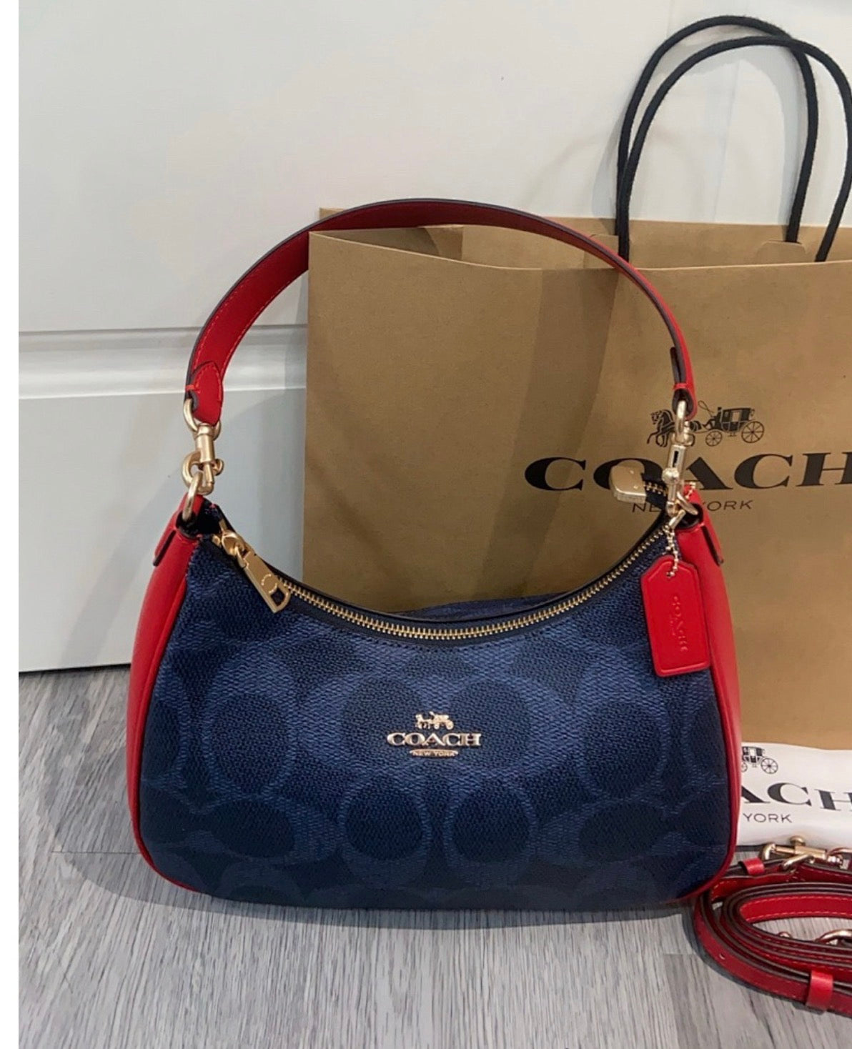 Coach Teri Hobo Bag