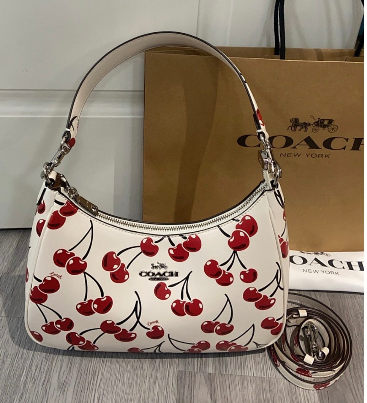 Coach Teri Hobo Bag