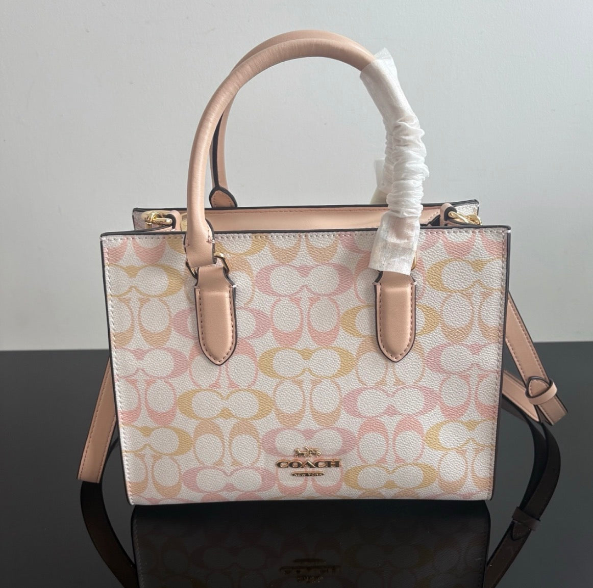 Coach Maggie Small Tote Bag