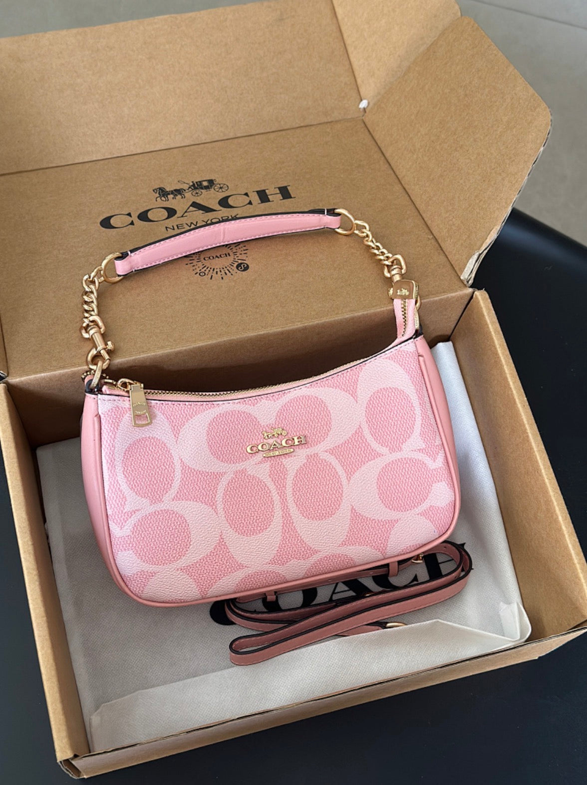 Coach Teri Shoulder Bag