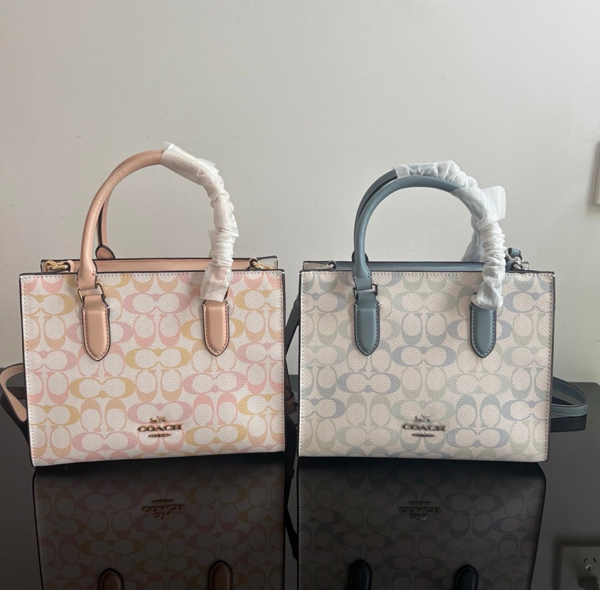 Coach Maggie Small Tote Bag