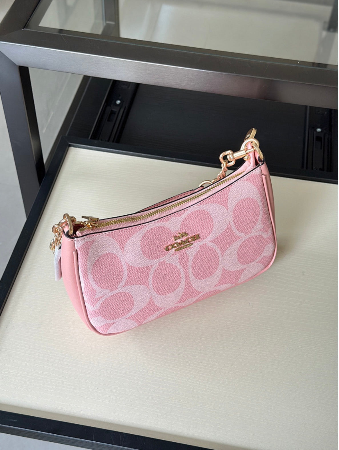 Coach Teri Shoulder Bag