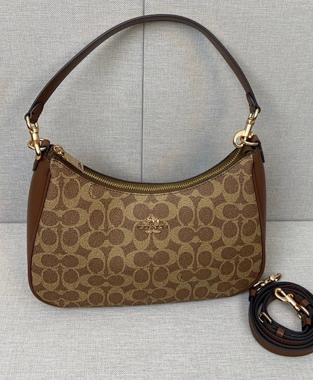 Coach Teri Hobo Bag