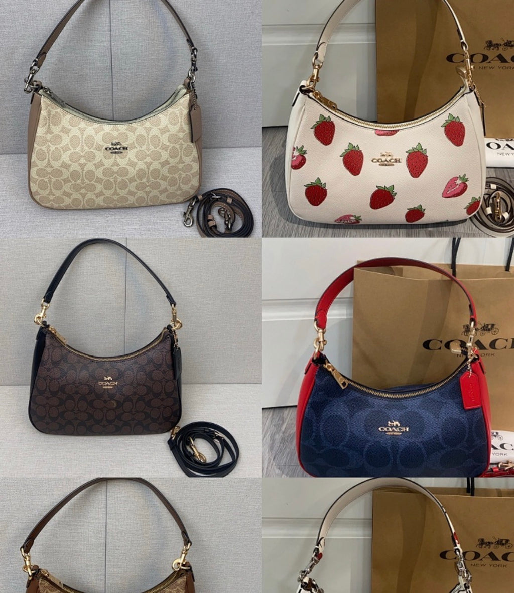 Coach Teri Hobo Bag