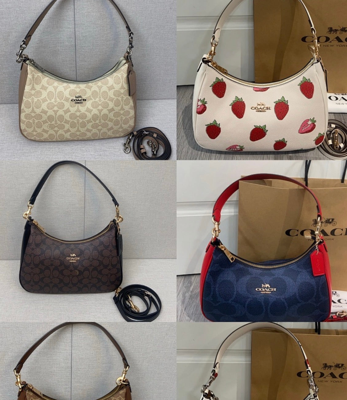 Coach Teri Hobo Bag